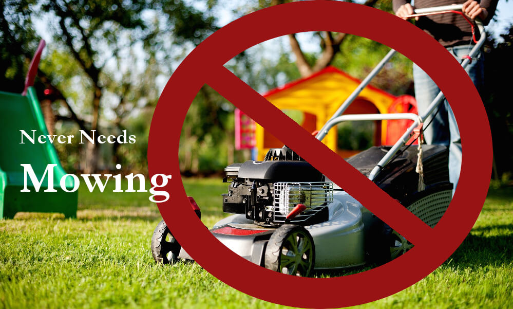Artificial Grass Does Not Need Mowing