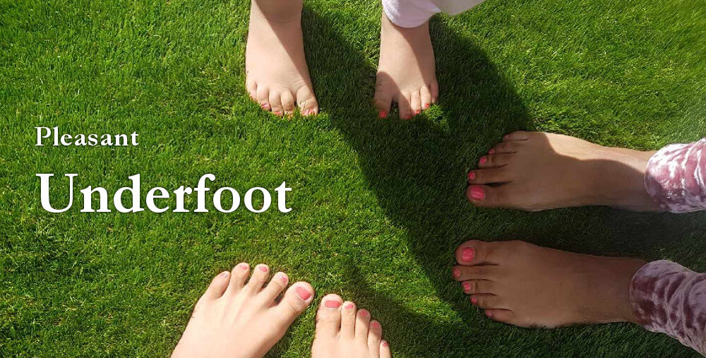 Artificial Grass is pleasant Under Foot