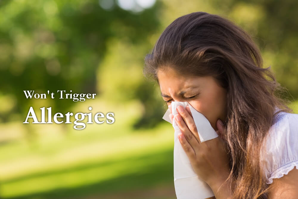 Artificial Grass Will Not Trigger Pollen Allergies